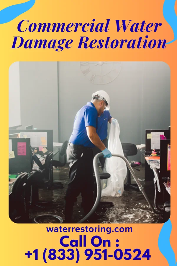 Commercial Water Damage Restoration in Groveton, TX