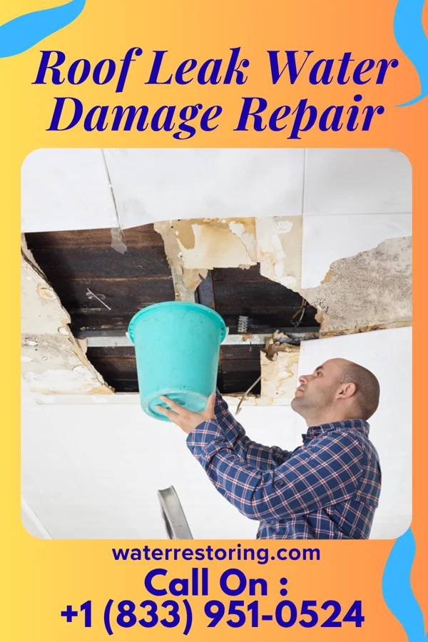 Roof Leak Water Damage Repair in Groveton, TX